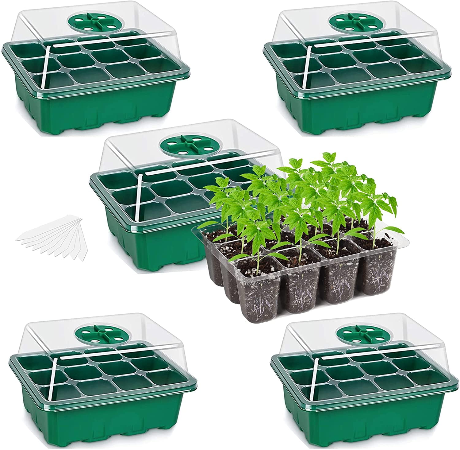 LAYADO 5 Packs Seed Starter Trays, (60 Cells Total Tray) with Humidity
