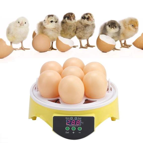 LAZIOEGR 7 Eggs Intelligent Automatic Poultry Incubator Temperature Control Hatcher for Chickens Ducks Quails 110V US Plug 6.2 inches / 15.8 cm