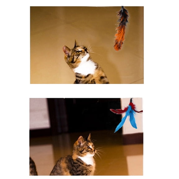 LAZIOEGR Cat Feather Rod Interactive Feather Teaser Retractable Cat Wand 11 PCS (17.32 inches / 44 cm)