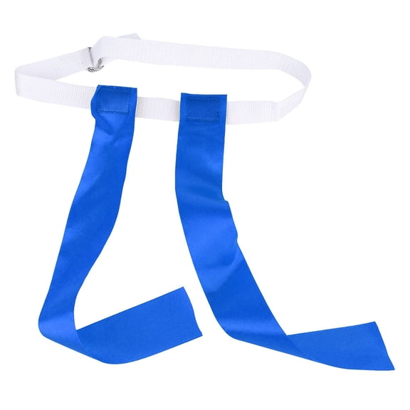 LAZIOEGR Colorful Ribbon Chase Game Kids Children Chasing Outdoor Sports Equipment Toys (Blue, 4.3 inches / 11 cm)