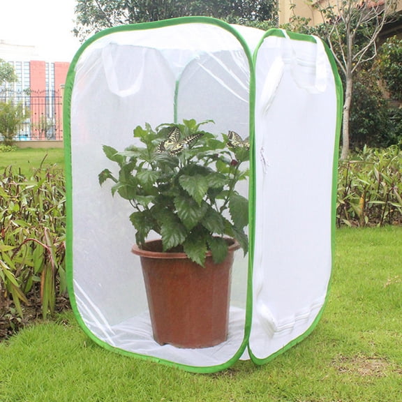 LAZIOEGR Foldable Butterfly House Habitat Mesh Cage Large Portable Insect Breeding Nest Clear Viewing Net for Educational Science STEM Activities (15.7 x 15.7 x 23.6 Inches / 40 x 40 x 60 cm)