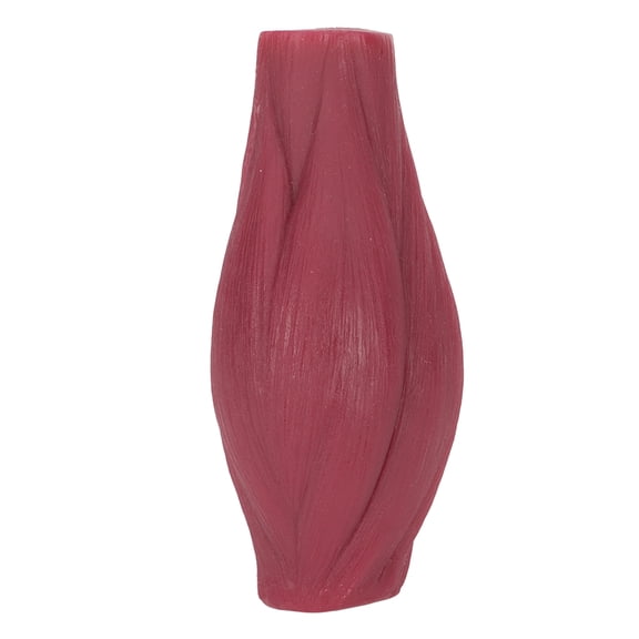 LAZIOEGR Human Body Muscle Replica Model Plastic Realistic Texture 1lb Anatomy Muscle Replication Tool For Nutritionists Physiology Science Students Athletes Fitness Enthusiasts And Therapists