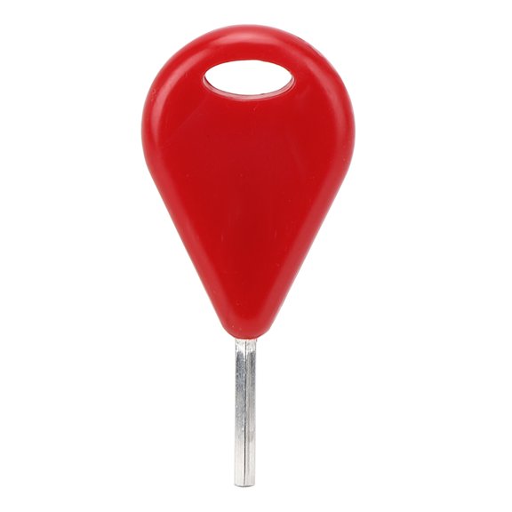 LAZIOEGR Surfboard Accessories FCS Surf Fin Key and Screws Set Premium Grade Stainless Steel Hex Key and Fin Screws for FCS Fins Water Boarding Hardware Replacement Part, Red (1.4 in / 3.6 cm)