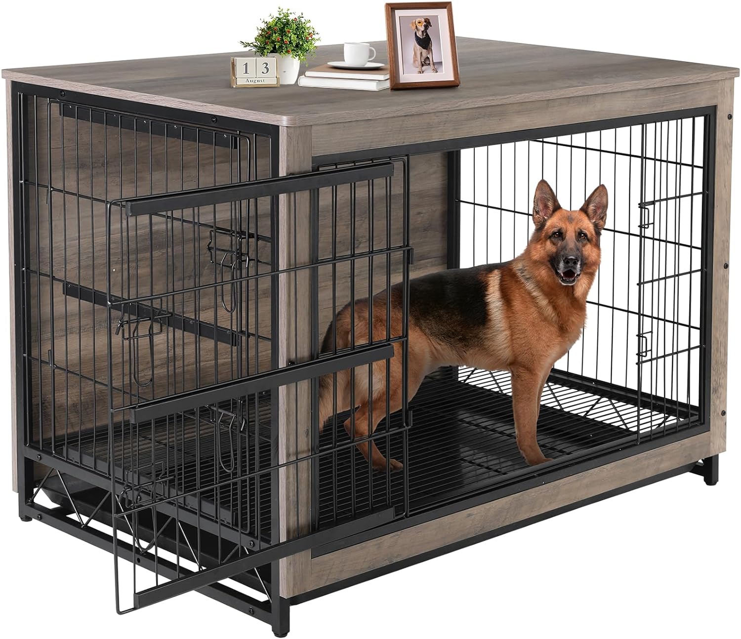 Lazy dog furniture sale