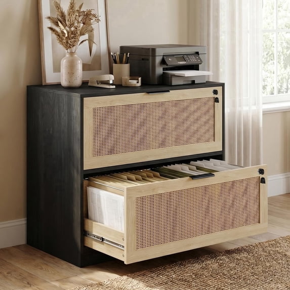 LAZZO 2-Drawer Lateral File Cabinet with Lock, Rattan Wood Filing Cabinet for Letter, Legal, A4 and F4 Files, Printer Stand for Home Office, Black