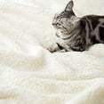 thumbnail image 1 of LBRO2M Sherpa Fleece Bed Blanket King Size Super Soft Fuzzy Plush Warm Cozy Fluffy Microfiber Couch Throw Velvet Double Reversible Blankets,Red, 1 of 6