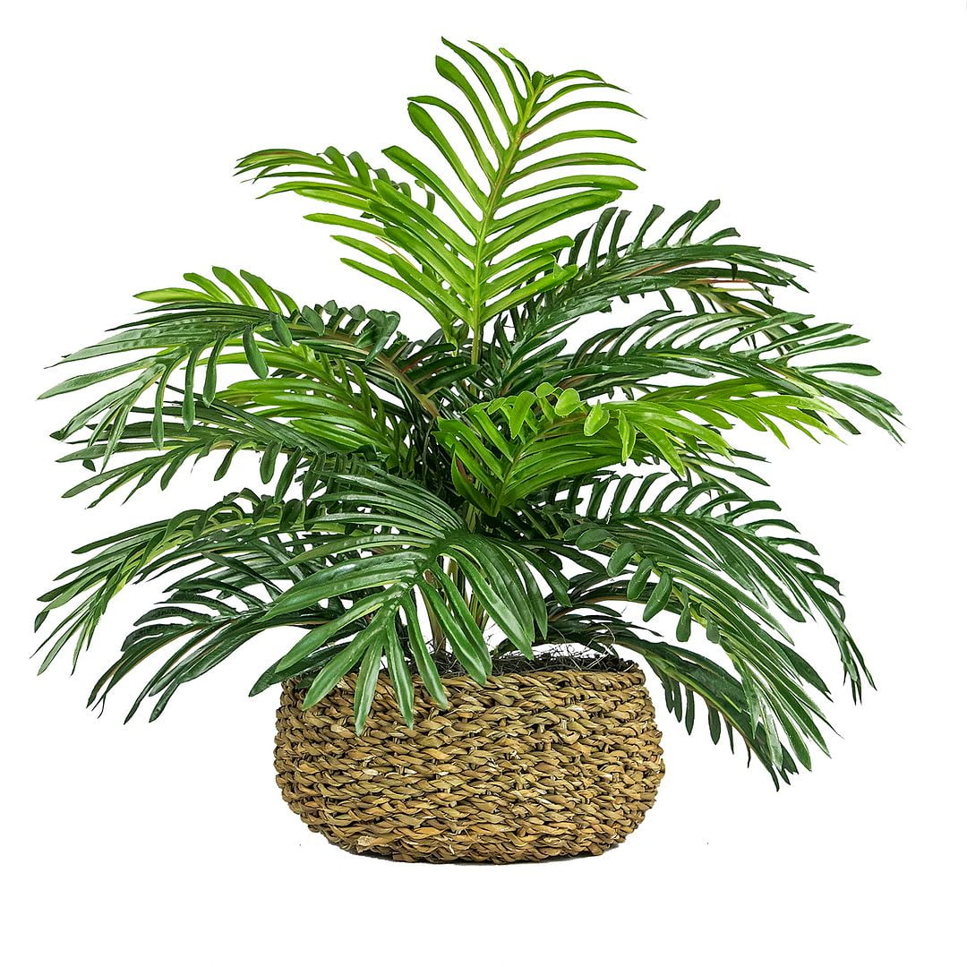14" Green Artificial Palm in Handwoven Wicker Basket