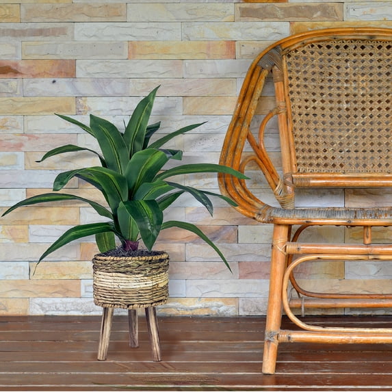 LCG Florals Artificial Plant, Dracaena Plant, 2 ft, Multi-Color Tripod Basket Stand, Faux Designer Fake Indoor Plant for Living Room, Office, & Home Décor