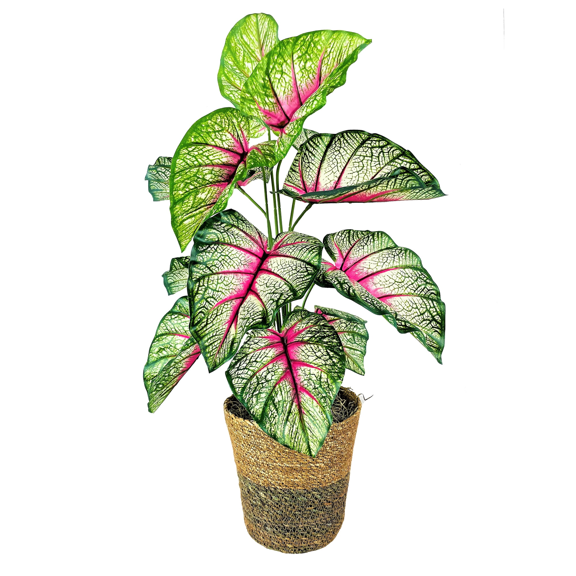 LCG Florals 30" Artificial Caladium Plant in Green & Natural Decorative