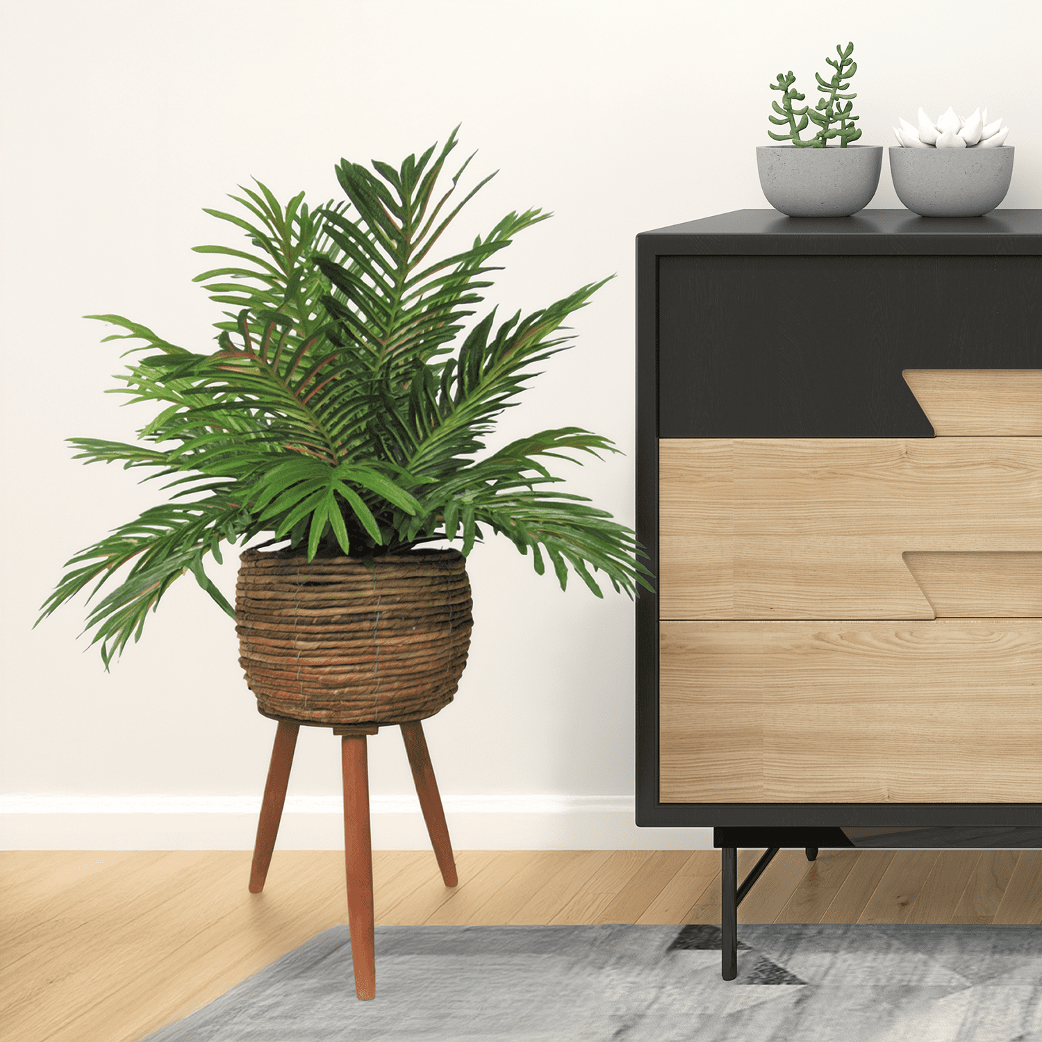 LCG Florals Artificial Plant, Phoenix Palm, 2.5 ft, Basket Stand, Weighs approx. 6 lbs.