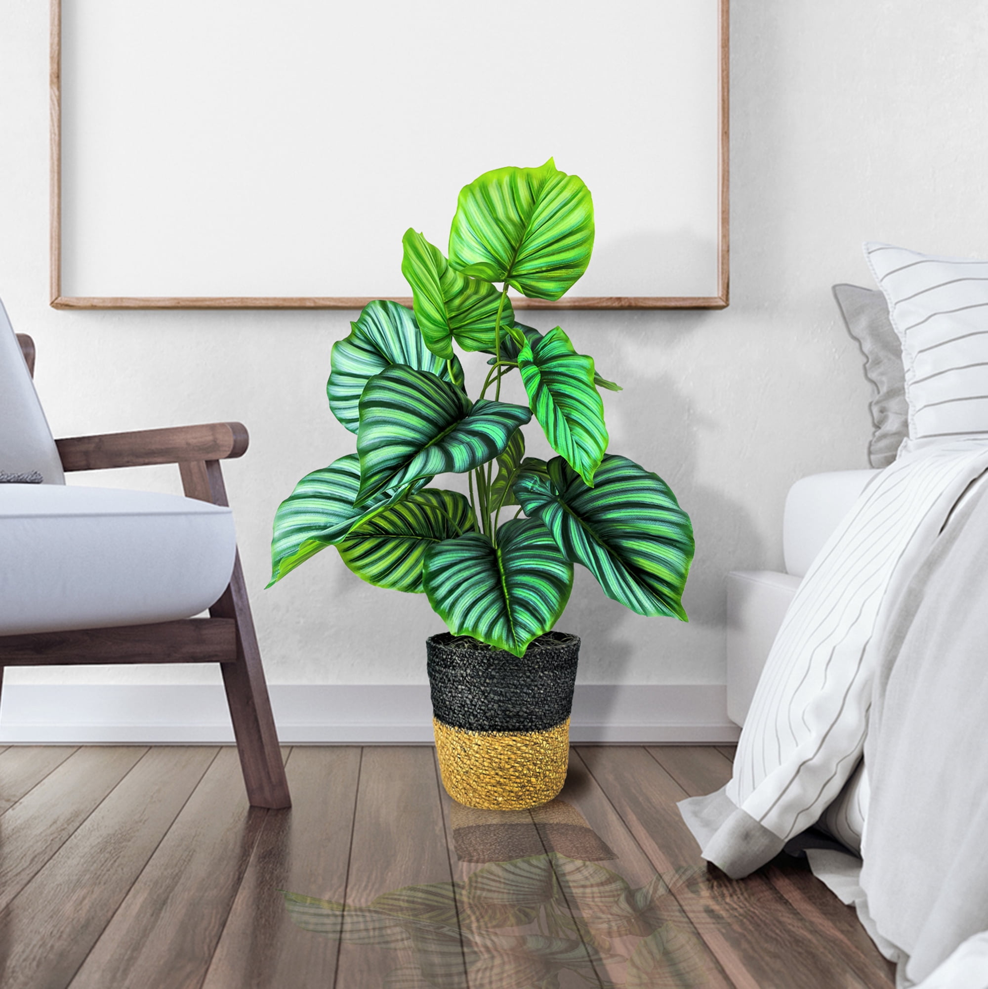 LCG Florals Artificial Plant, Prayer Plant, 2.5 ft, Two-Tone Decorative Handwoven Basket