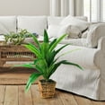 thumbnail image 1 of LCG Florals Artificial Plant, Dracaena, 2.83 ft, Woven Rattan Basket, 1 of 6