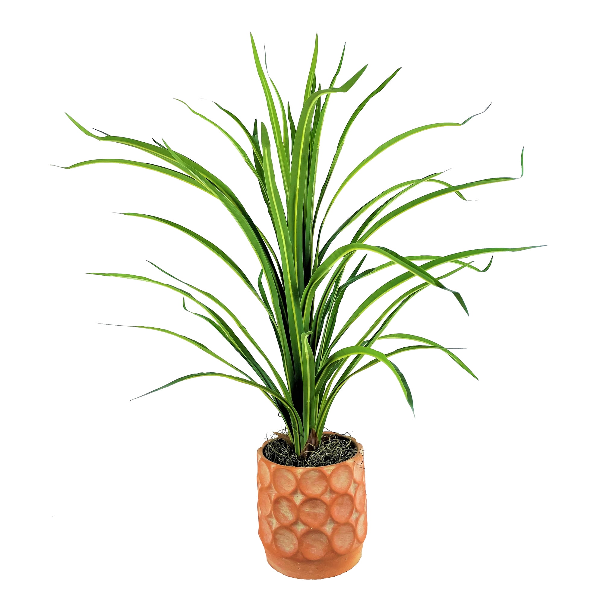 38" Green Faux Dracaena Plant in Terracotta Cement Planter