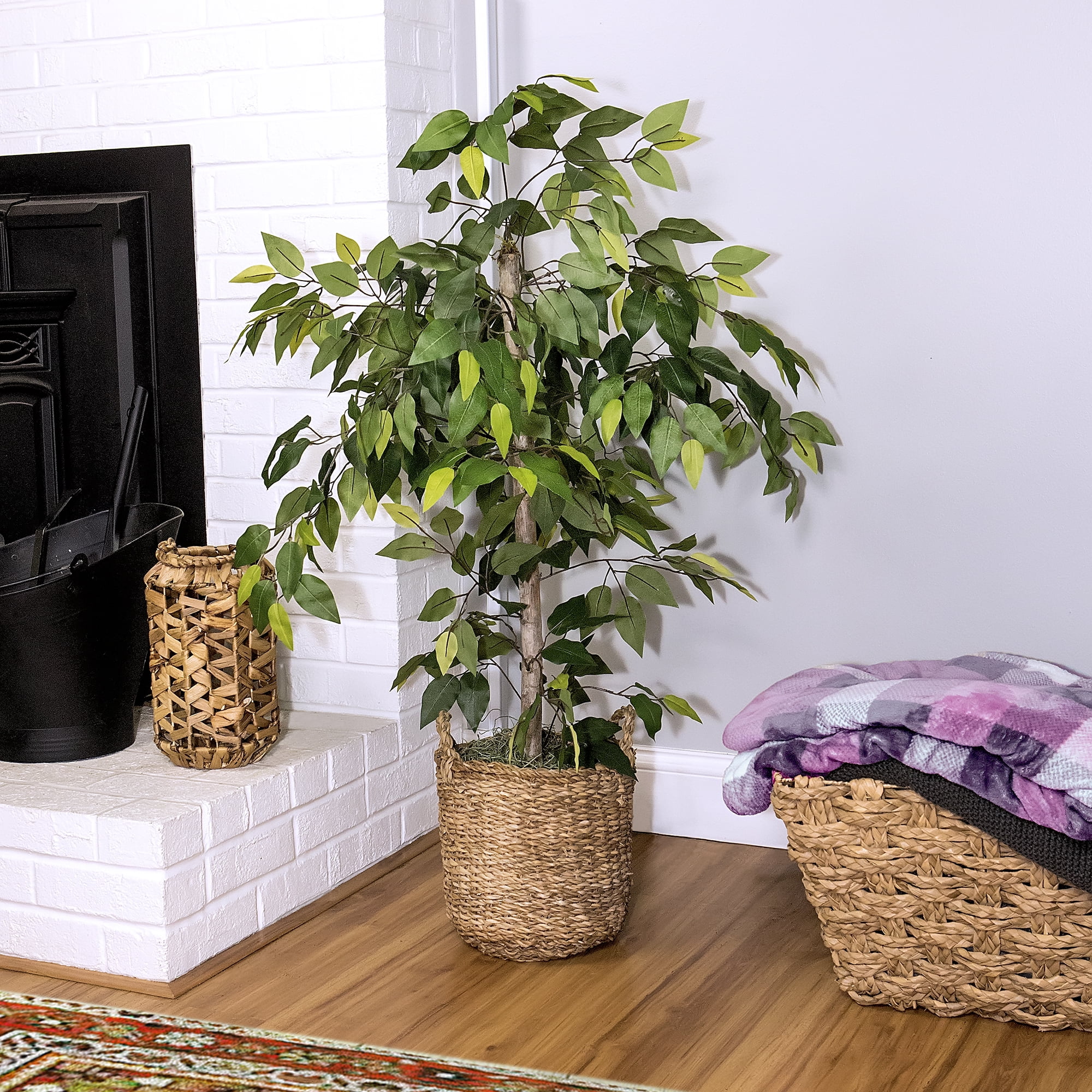 LCG Florals Artificial Ficus Tree in ...