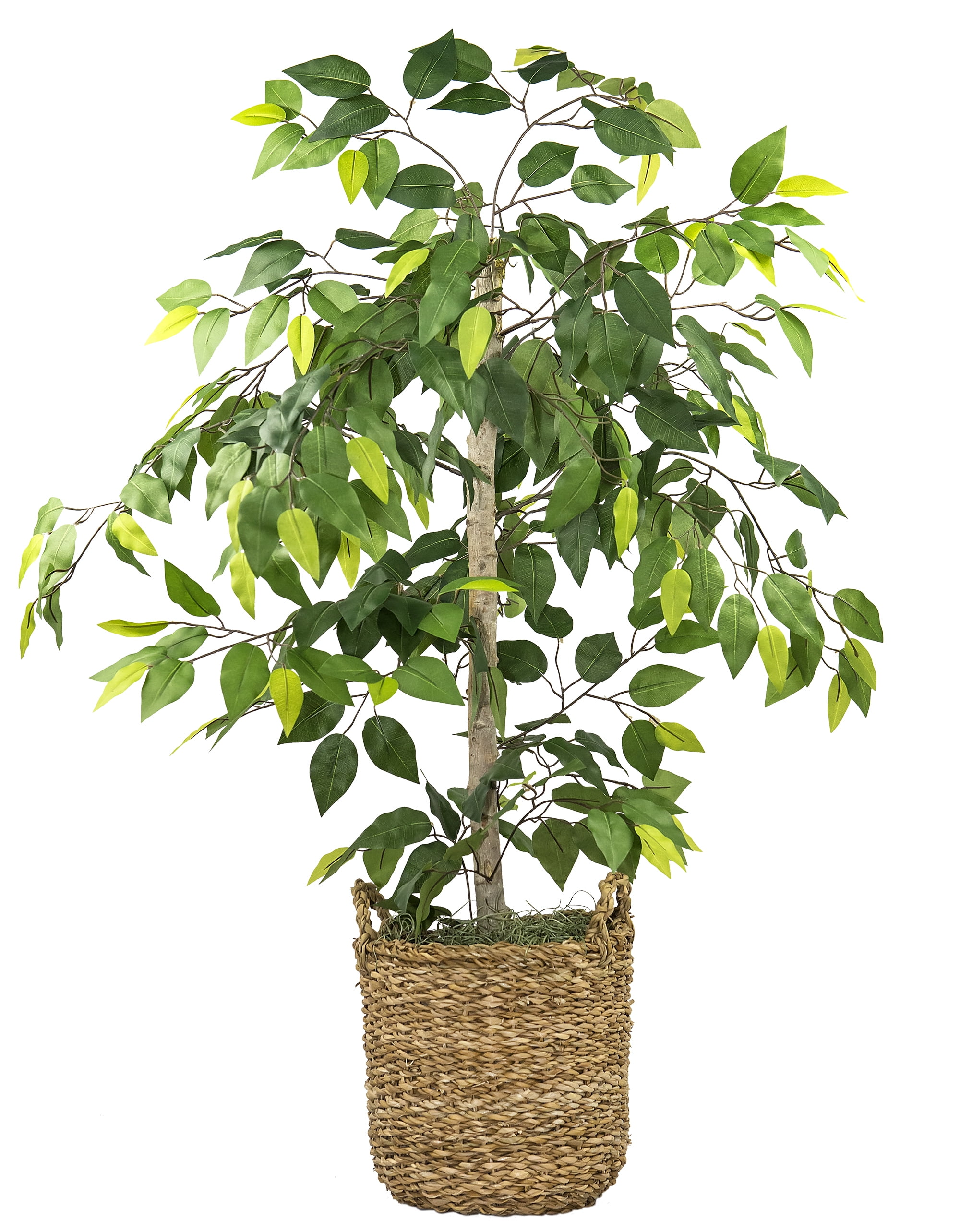 48" Green Artificial Ficus Tree in Woven Rattan Basket