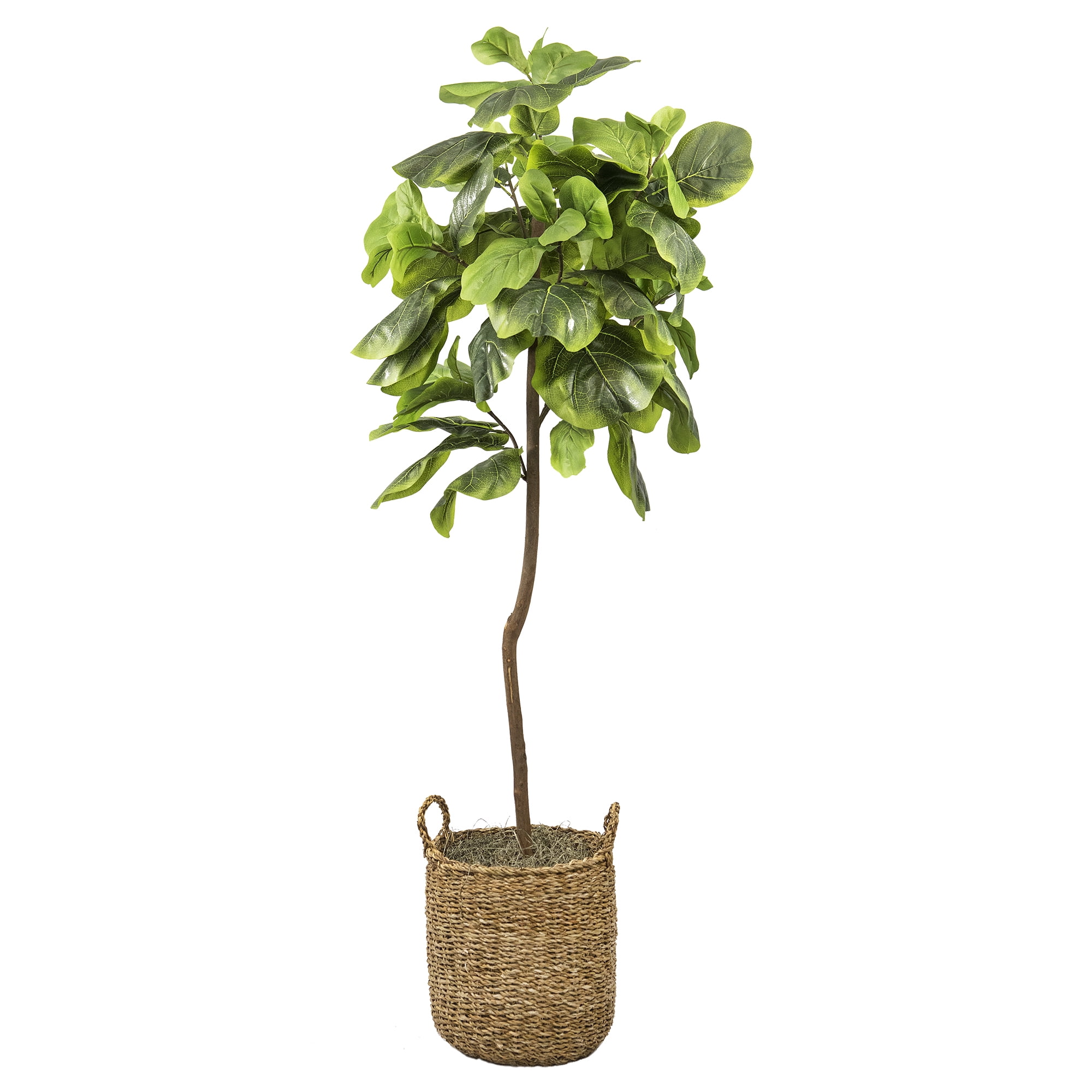 5-Foot Artificial Fiddle Leaf Fig Tree in Woven Rattan Basket