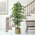 thumbnail image 1 of LCG Florals Artificial Tree, Faux Designer Ficus Tree, 6 ft (72in) in Handwoven Rattan Basket, Indoor Tree for Living Room, Office, & Home Decor, 1 of 10