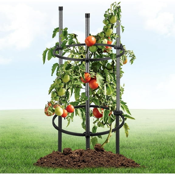 LCOKEIY Tomato Cage for Vegetables -1 Pac  31" Plant Support with Stabilizer Rings