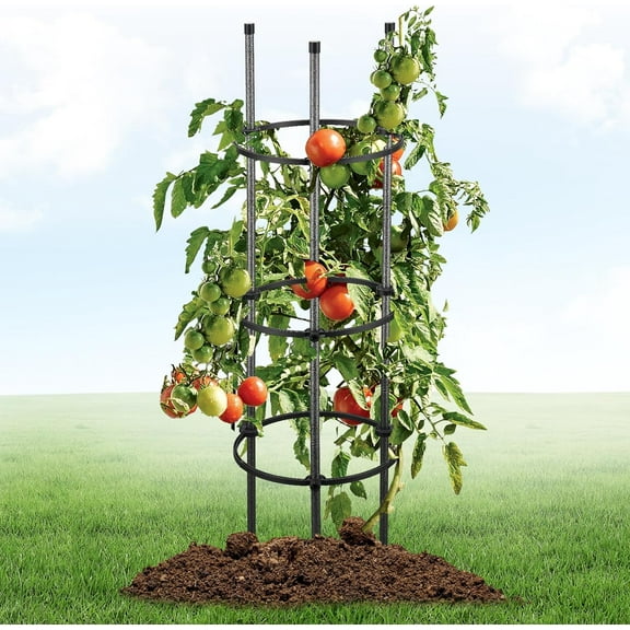 LCOKEIY Tomato Cage 1 Pac - 46" Heavy Duty Rust-Proof Plant Support with Stabilizer Rings | Adjustable Garden Stakes for Vegetables & Climbing Flowers