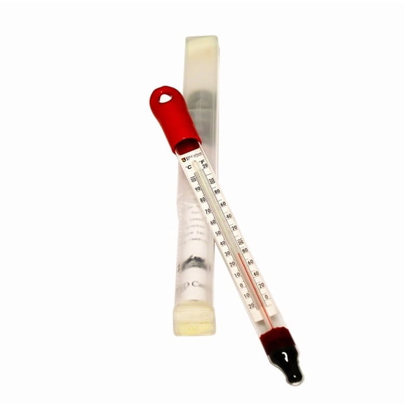 LD Carlson Floating Thermometer