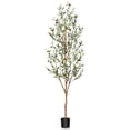 thumbnail image 1 of 6FT Olive Tree Artificial Indoor Tall Faux Plant for Home Office Decoration, Fake Potted Tree with Natural Wood Trunk & Lifelike Fruits (72"), 1 of 9