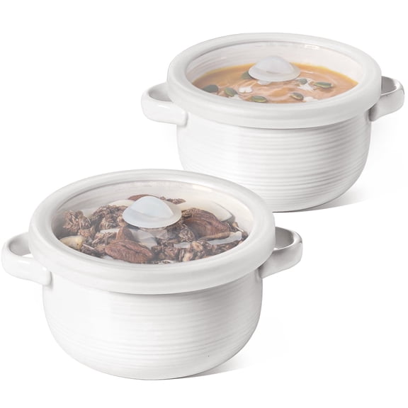 LE TAUCI 28 oz Ceramic Soup Bowl with Vented Silicone Lid and Handles, Microwave & Oven Safe,Set of 2