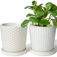 thumbnail image 1 of LE TAUCI Embossed Ceramic Plant Pots, Set of 2, 5.4 Inch Flower Pots for Indoor Plants, Planters with Drainage Hole and Saucer, for Snake Plants Cactus, Reactive Glaze White, 1 of 6