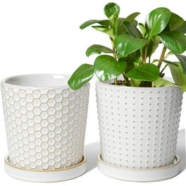 Fasmov Round Modern Ceramic Garden Flower Pots White Succulent Cactus Plant Pots, Set of 3