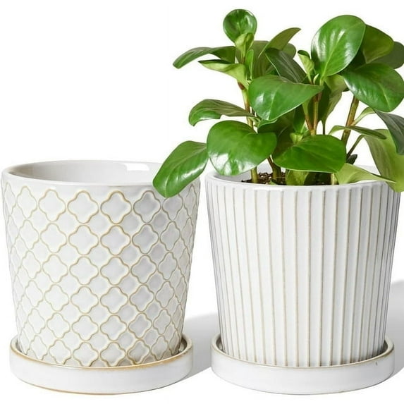 LE TAUCI Plant Pots,5.4 inch Embossed Ceramic Indoor Planterd for Home Office,Garden Planters with Drainage Hole and Saucer for Succulent Orchid Snake Plants Cactus, Reactive Glaze White