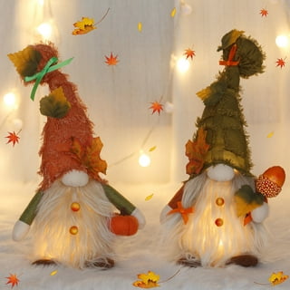 https://i5.walmartimages.com/seo/LEAQU-Fall-2-Pack-Thanksgiving-Buffalo-Stuffed-Swedish-Gnomes-Tomte-Pumpkin-Harvest-Decorations-Holiday-Home-Decor_359ae563-175d-421f-8b85-a21ba1235539.4de746da7b7db0519b0de58f62ba5e95.jpeg?odnHeight=320&odnWidth=320&odnBg=FFFFFF