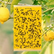 LEAQU Yellow Sticky Traps (20 Pack) - Gnat Trap - Gnat Killer - Fruit Fly Paper - Fly Traps Indoor Sticky - Fungus Gnat - Sticky Traps Insects - Fruit Flies - Dual-Sided - Indoor/Outdoor