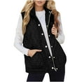 thumbnail image 1 of LEBONYARD Ladies Winter Sleeveless Stand Collar Button Zipper Vest Jacket Casual Solid Colored Loose Fit Mid Length Warm Pocket Outwear Winter Jacket, 1 of 9