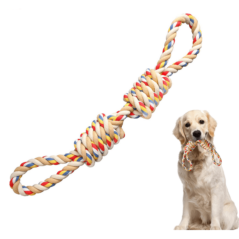 Is Tug of War Bad for Dogs? Plus: The Best Tug Toys for Dogs