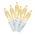 thumbnail image 1 of Indoor/Outdoor 50-Count LED Mini Christmas String Lights, Warm White, White Wire, 9.5', by Holiday Time, 1 of 7