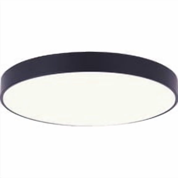 Canarm Edgeless Disc Flush Mount Ceiling Light Fixture
