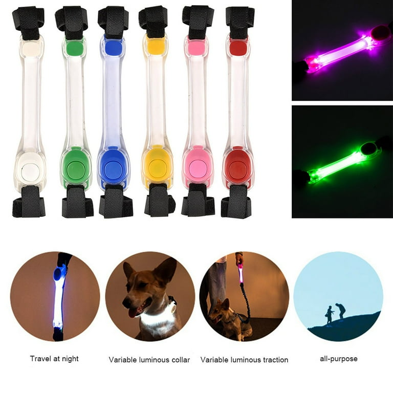 Blinking lights shop for dog collars