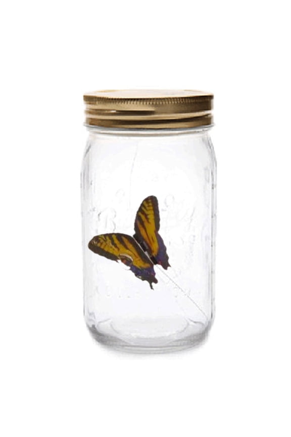 ✪ LED Animated Butterfly In A Jar Fluttering Amazing Collection Battery Operated