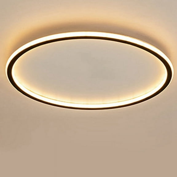LED Ceiling Light 30CM Round Ceiling Lamp Modern Decor Ceiling Light for Kitchen, Hallway, Office,Porch Bedroom 38W aluminum + iron Black