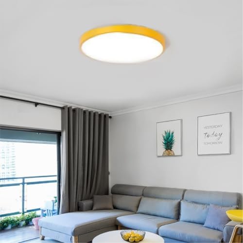 LED Ceiling Light Fixture,16 Inch Modern Round Recessed Ceiling Lights ...