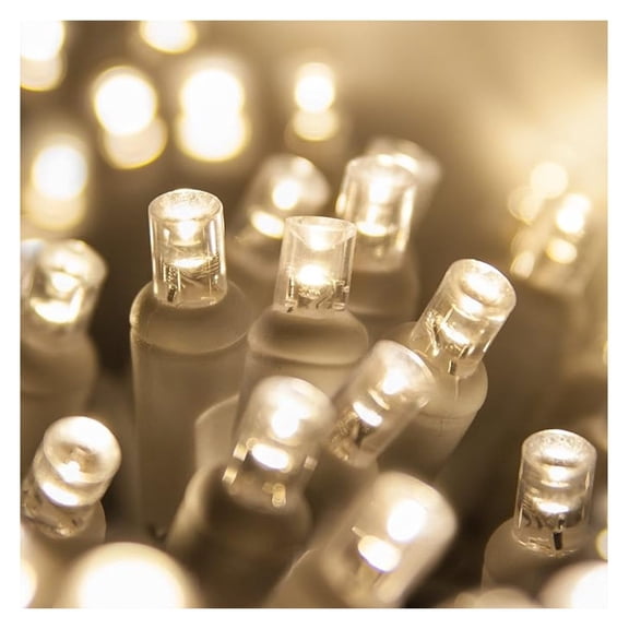 LED Christmas Lights 70ct Warm White, 24ft String Lights - Indoor/Outdoor Party Wedding Decoration, White Wire, Steady On