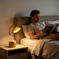 thumbnail image 1 of LED Desk Lamp with Flexible Gooseneck and Pen Holder Eye Protection Reading Light for Study Desk Homework Station Dorm Room Lighting Rechargeable Study Lamp with Storage, 1 of 6