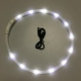 thumbnail image 1 of LED Dog Collar 27.56" USB Rechargeable Night Safety Adjustable Silicone Collar Makes Your Dog Visible,Water Resistant Glowing Pet Dog Collar for Small Medium Large Dogs Puppy Collar,White, 1 of 7