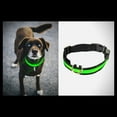 thumbnail image 1 of LED Dog Collar - Keeps your dog safe and easy to see in the dark. Water Resistant- Three modes (Green - Large), 1 of 1