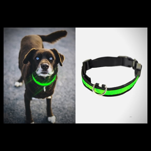 LED Dog Collar - Keeps your dog safe and easy to see in the dark. Water Resistant- Three modes (Green - Large)