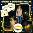 thumbnail image 1 of LED Dog Collar, Light Up Dog Collar Lights USB Rechargeable, Adjustable Comfortable Soft Mesh Safety Collar for Small, Medium, Large Dogs,Gifts for Pets and Pet Lovers(Yellow,S), 1 of 6