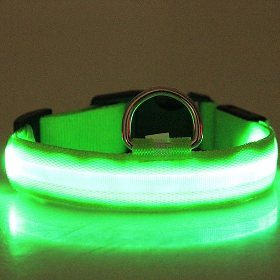 LED Dog Collar Light Up Nylon Necklace, Rechargeable Flashing Safety Collar for Night Walks and Outdoor Visibility,L,Green