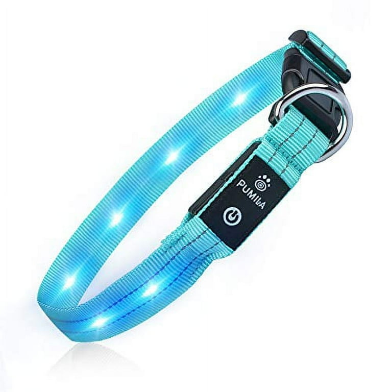 Small dog cheap collars walmart