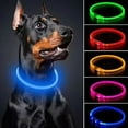 thumbnail image 1 of LED Dog Collar, Rechargeable Light Up Dog Collars for Night Walking，Adjustable, Reusable Safety Necklace for Dogs, 1 of 10