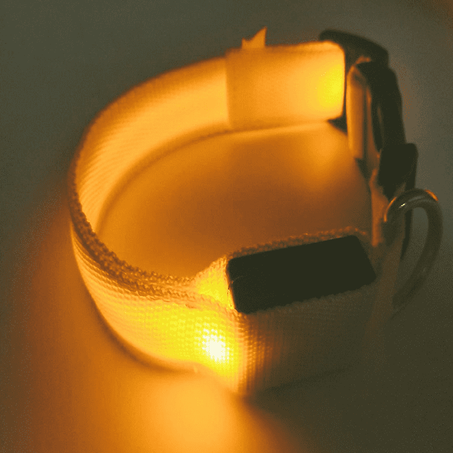 LED Dog Collar Reflective Glow in The Dark, Adjustable Light Up