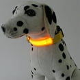thumbnail image 1 of LED Dog Collar USB Rechargeable | Adjustable Luminous Nylon Pet Collar with Bag Storage | Reflective Safety Light Up Visibility Up to 500m | Includes USB Cable | Fits Small Medium Pets, 1 of 4